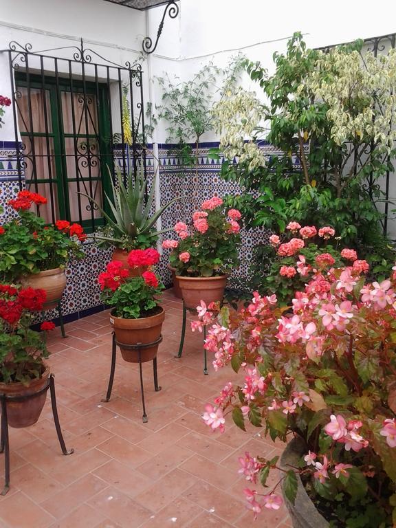 Hostal Enriqueta Marbella Exterior photo