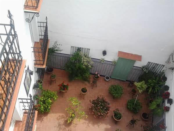 Hostal Enriqueta Marbella Exterior photo