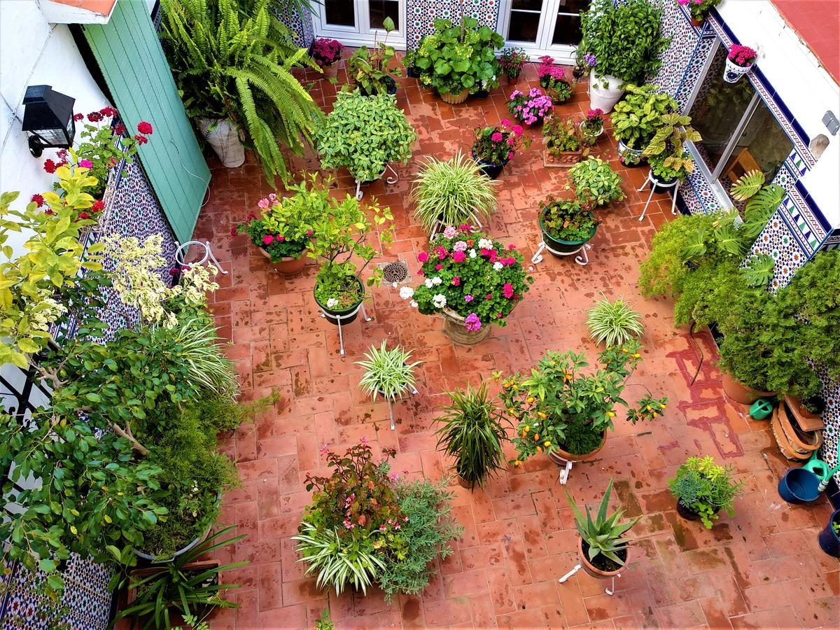 Hostal Enriqueta Marbella Exterior photo